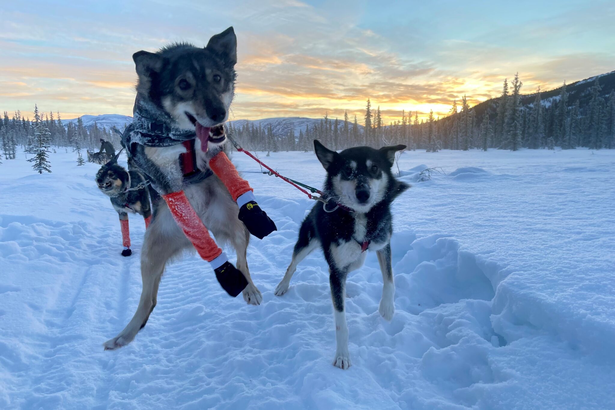 Heading for Barkerville